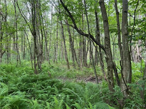 42 Kimball Camp Rd, Richland, NY, 13144 | Card Image