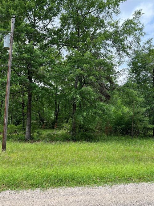 TBD Bugger Bat Rd, Trinity, TX, 75862 | Card Image