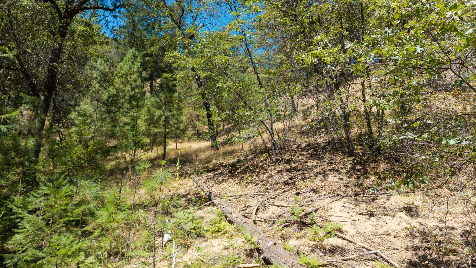 Land in Lewiston 5