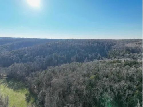 0 Davis Hollow Rd, Waynesboro, TN, 38485 | Card Image