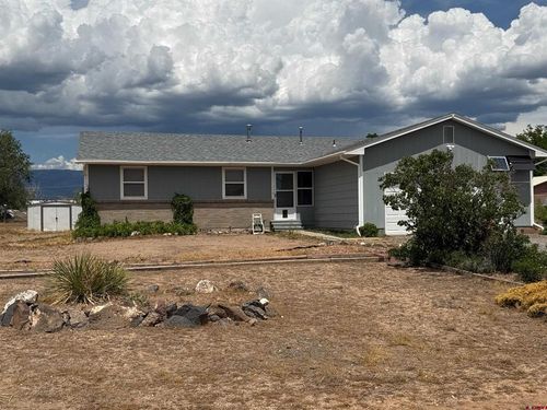 21195 Mountain Village Dr, Eckert, CO, 81418-4207 | Card Image