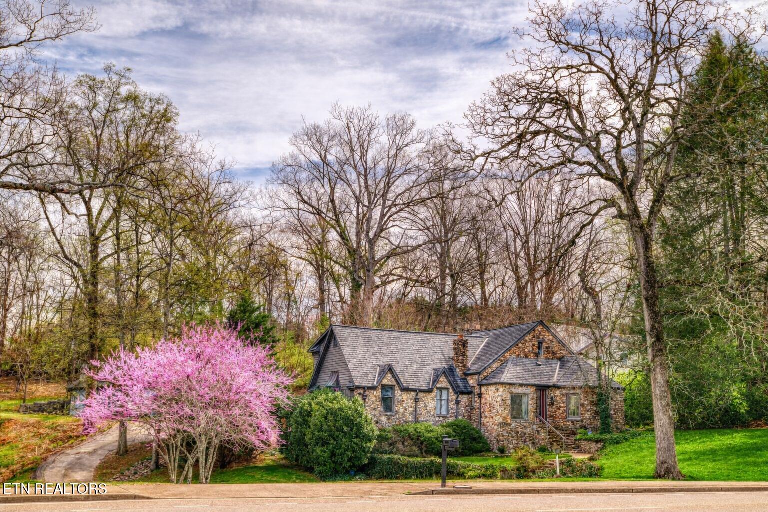 Residential in Knoxville 5
