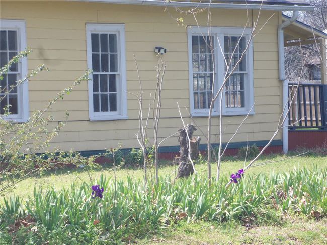 The iris bed is soon to be a sea of purple. Always attracts lookers | Image 4