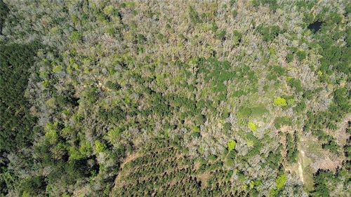 000 Jamestown Rd, Newton, TX, 75966 | Card Image