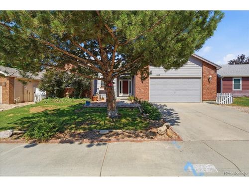 1116 Summit Ct, Windsor, CO, 80550-5764 | Card Image