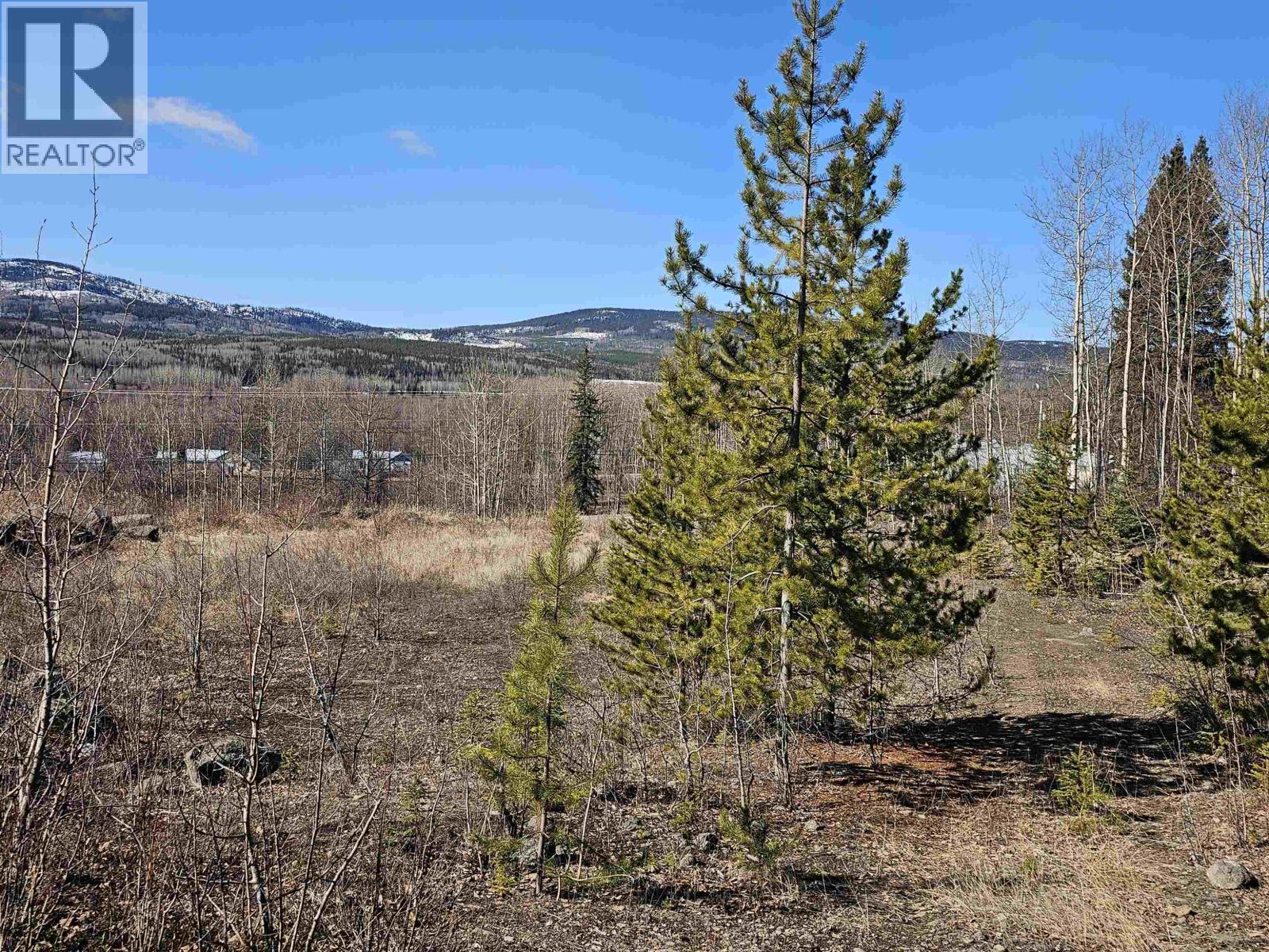 Land in Burns Lake 4