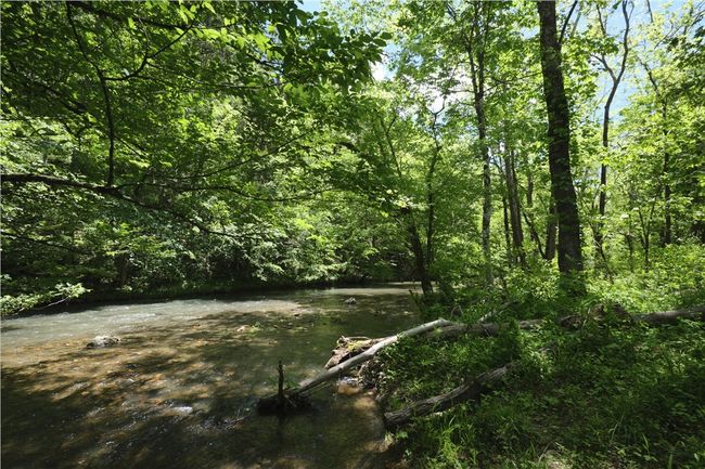 819 Point Of View Dr, House other with 3 bedrooms, 2 bathrooms and null parking in Ewing VA | Image 20