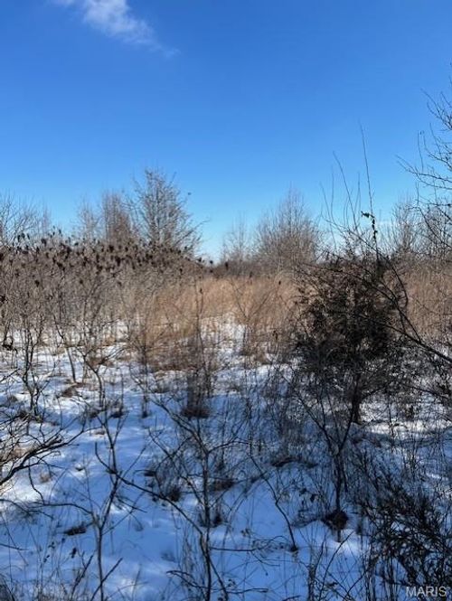 7 Parkview Farms, Blackwell, MO, 63626 | Card Image