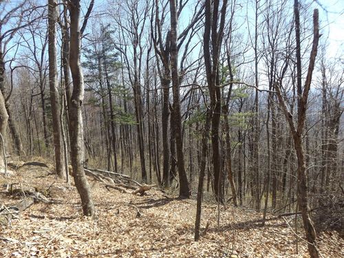 TBD Mountaineer Way, Fancy Gap, VA, 24328 | Card Image
