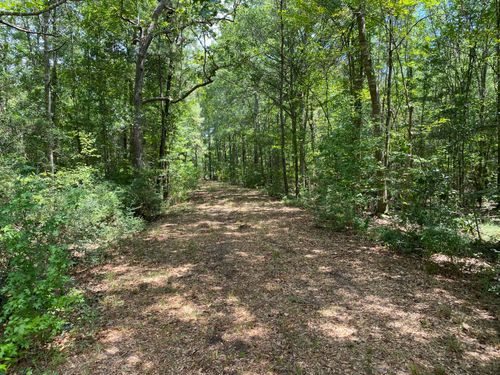 64.5 Acres Fifth St, Poplarville, MS, 39470 | Card Image
