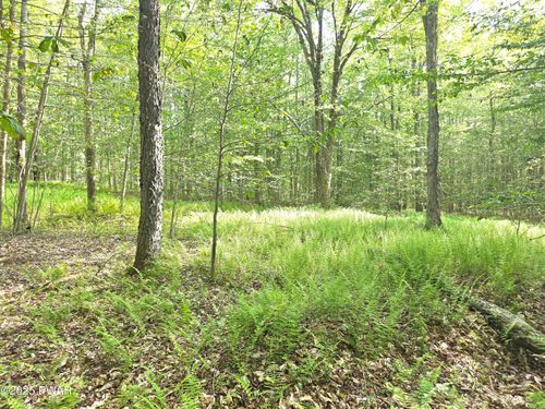 Lot #1 Crosstown Hwy, Lakewood, PA, 18439 | Card Image