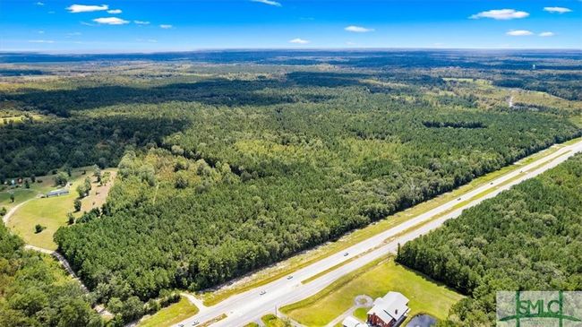262 Leroy Coffer Highway, Home with 0 bedrooms, 0 bathrooms and null parking in Fleming GA | Image 4