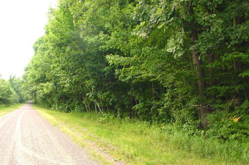 80 Acres on Bailey Road, WASHINGTON, WI, 54819 | Card Image