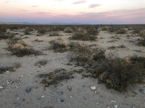 0-0 Carmer Road, Johnson Valley, CA, 92285 | Card Image
