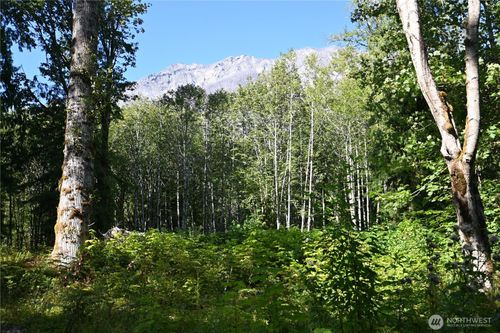 0 Sr 2, Baring, WA, 98224 | Card Image