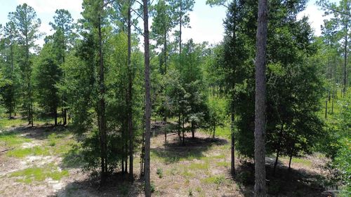15 Pineview Church Rd, Jay, FL, 32565 | Card Image
