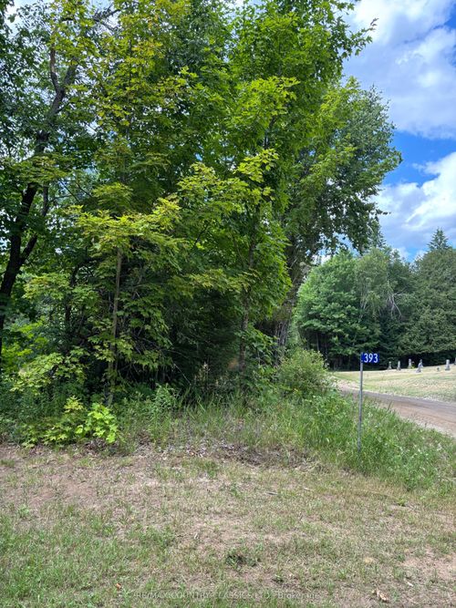 393 Rose Island Rd, Coe Hill, ON, K0L1P0 | Card Image