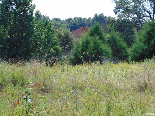 47 Wilkins Road, Harrisburg, IL, 62946 | Card Image