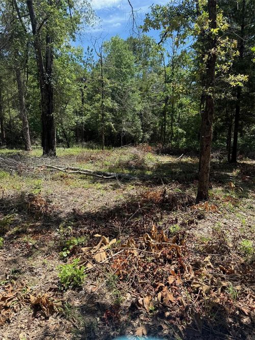 TBD Camelot Dr, Woodville, TX, 75979 | Card Image