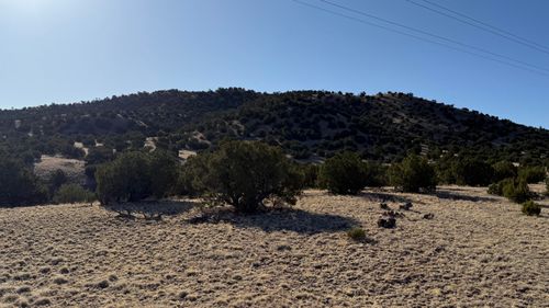 21 Pinon Springs Rd, Magdalena, NM, 87825 | Card Image