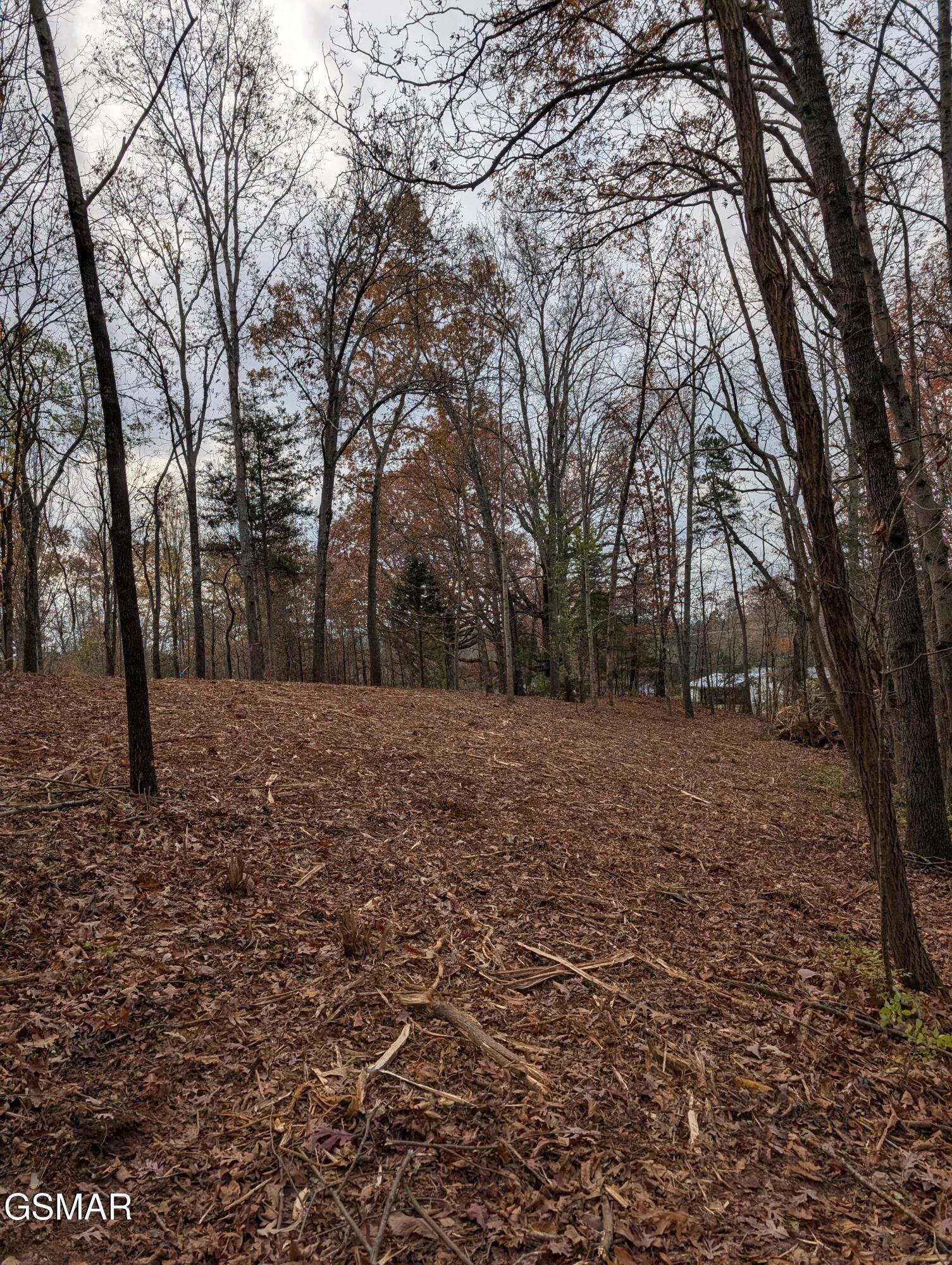 Land in Strawberry Plains 5