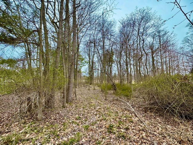 125 W Shorewood Dr, Home with 0 bedrooms, 0 bathrooms and null parking in Douglas MI | Image 8