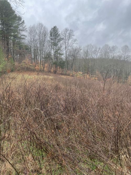 0 Treemont Rd, Dickson, TN, 37055 | Card Image