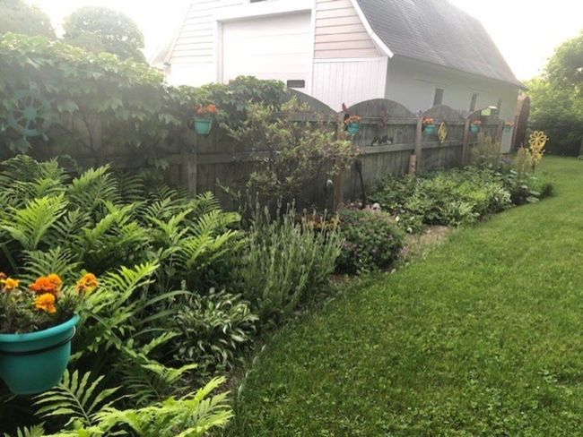 66 - 64-66 Swift St, Home with 0 bedrooms, 2 bathrooms and null parking in South Burlington VT | Image 26