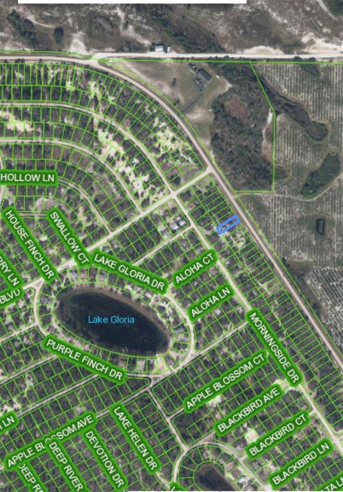 835 Cr-29, Lake Placid, FL, 33852 | Card Image