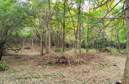 11 Rohrssen Lot 4 Road, Elgin, IL, 60120 | Card Image