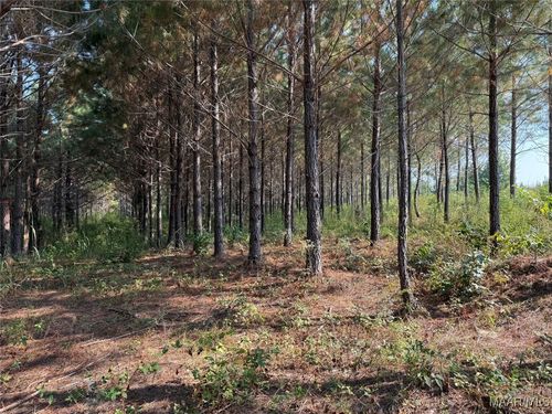 7 Grass Farm Rd, Titus, AL, 36080-3452 | Card Image