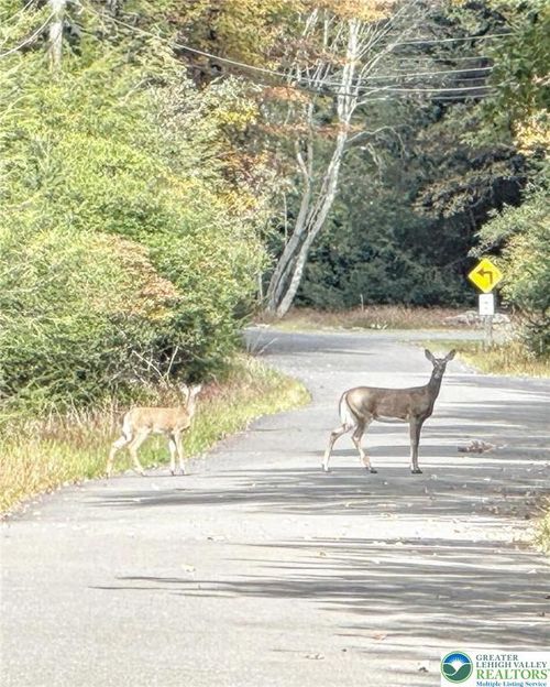 0 Hunter Ln, Albrightsville, PA, 18210 | Card Image