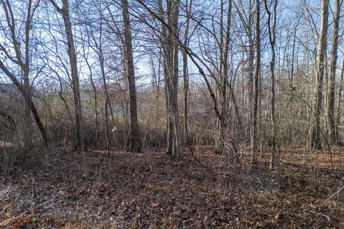 Lot 1736 Satsuma Dr, Crossville, TN, 38555 | Card Image