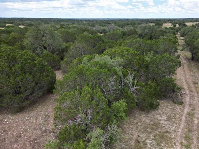 Aerial view featuring a wooded view | Image 8