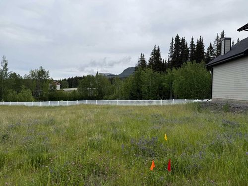 {{alt}} | Card Image