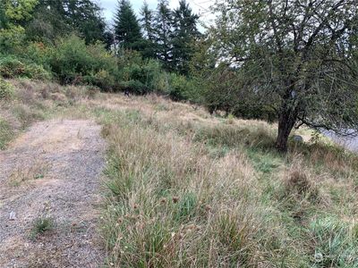 Glendon septic just past tree on right | Image 3