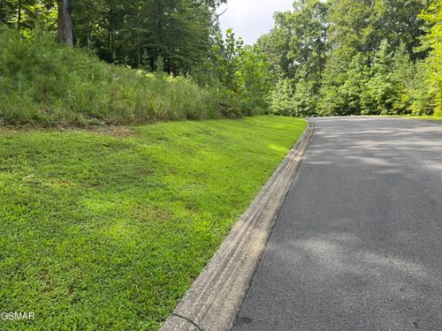 11 Cove Springs Dr, Dandridge, TN, 37725 | Card Image