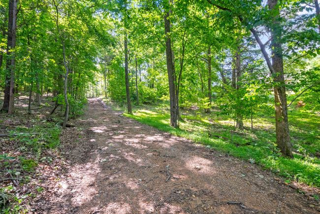 0 Happy Hills Acre Rd, Home with 0 bedrooms, 0 bathrooms and null parking in Woodlawn TN | Image 16