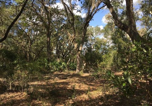 8922 E Gulf To Lake Hwy, Inverness, FL, 34450-5225 | Card Image