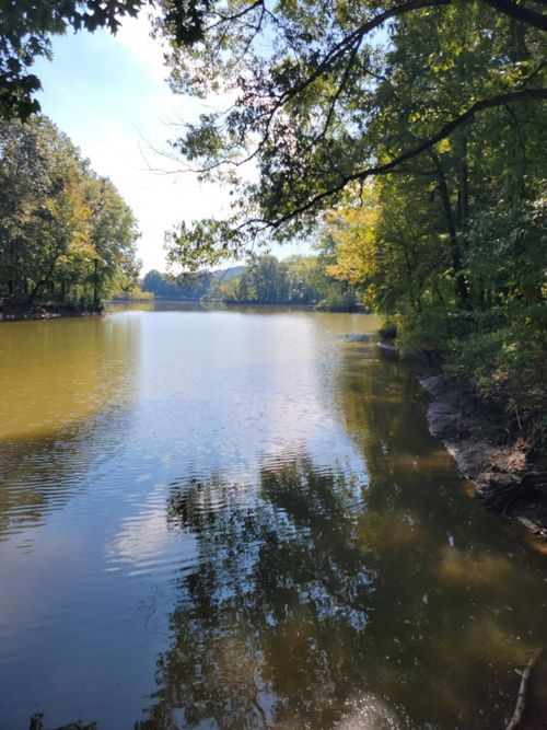 0 Shirley Bates Dr, Clifton, TN, 38425 | Card Image