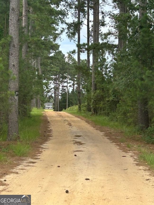1302 Jim Sapp Rd, House other with 3 bedrooms, 3 bathrooms and null parking in Claxton GA | Image 21