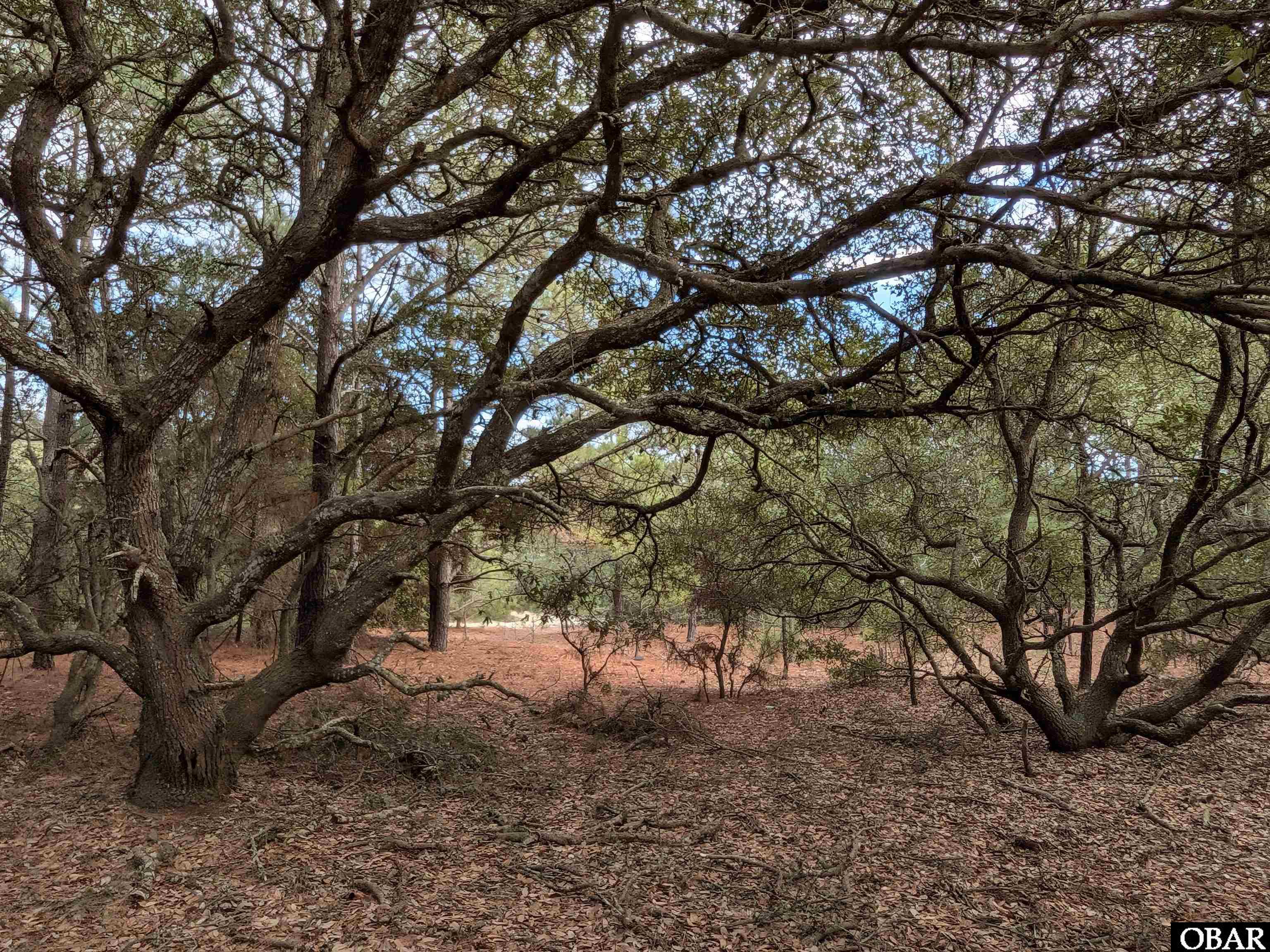 Land in Corolla 5