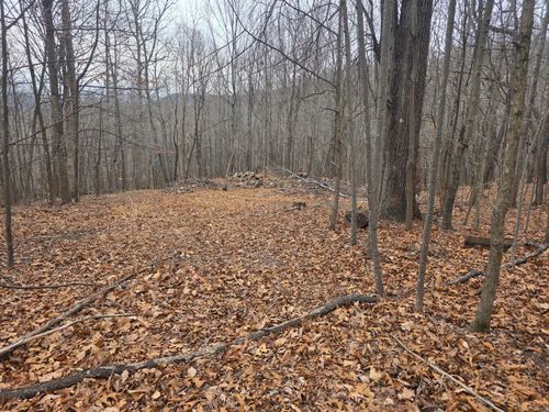 0 Hickory Falls Rd, Blue Ridge, VA, 24064 | Card Image