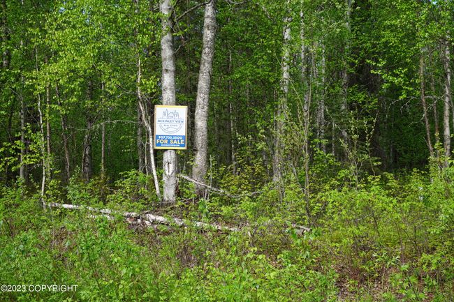Level, buildable lot | Image 8