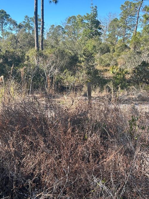 516 Deep River Dr, Lake Placid, FL, 33852 | Card Image