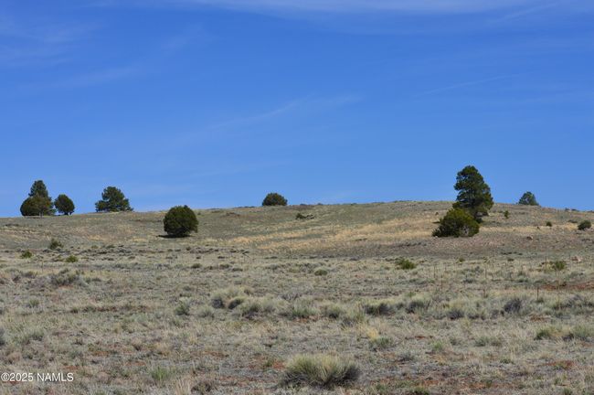 2 E Tanner Ranch Rd, Home with 0 bedrooms, 0 bathrooms and null parking in Parks AZ | Image 22