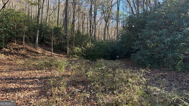 0 Goshen Mesa Ln, Home with 0 bedrooms, 0 bathrooms and null parking in CLARKESVILLE GA | Image 17