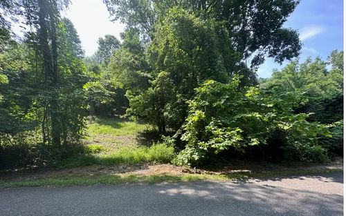 Lot 106 West River Trace, Ellijay, GA, 30536 | Card Image