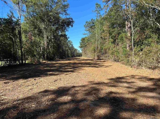 26.85 Acres Heritage Acres Ln, Home with 0 bedrooms, 0 bathrooms and null parking in Robert LA | Image 10