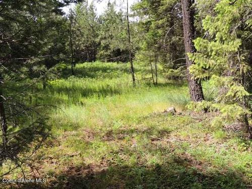 NKA Antler Ln, Spirit Lake, ID, 83869 | Card Image
